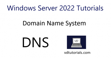 Domain Name System (DNS) | Windows Server